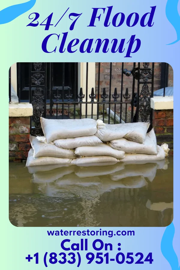24/7 Flood Cleanup in Buckley, IL