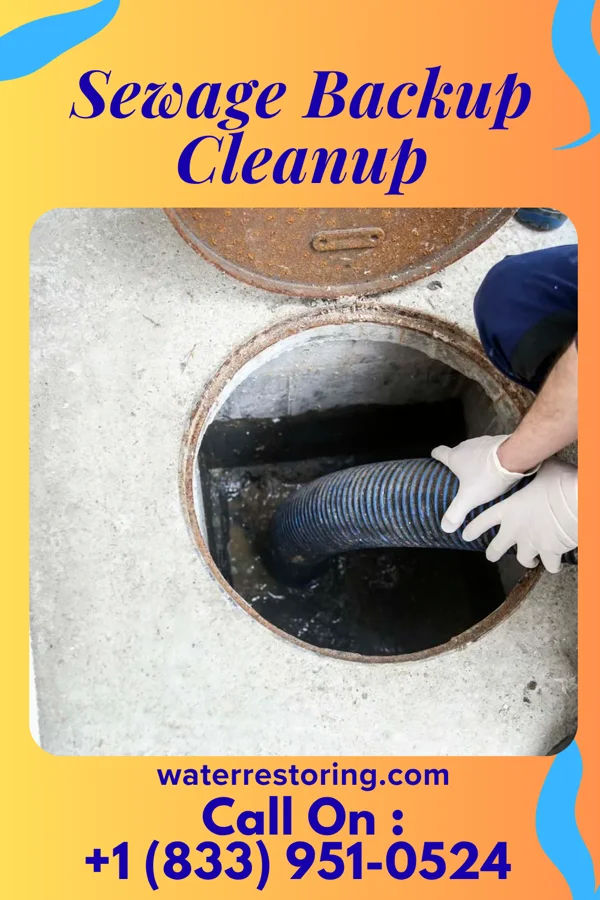 Sewage Backup Cleanup in Buckley, IL