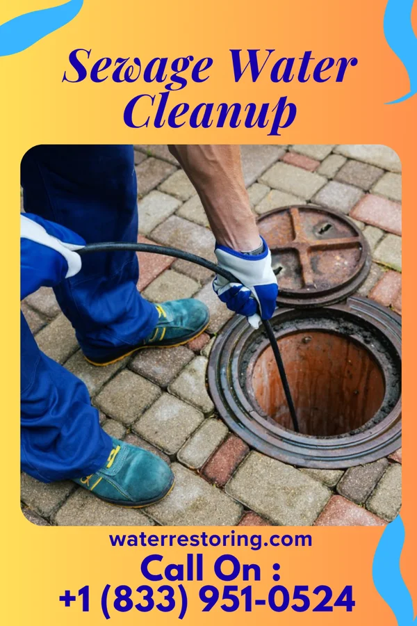 Sewage Water Cleanup in Buckley, IL